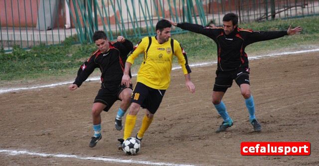 101218_Arenel 233y_tn.jpg